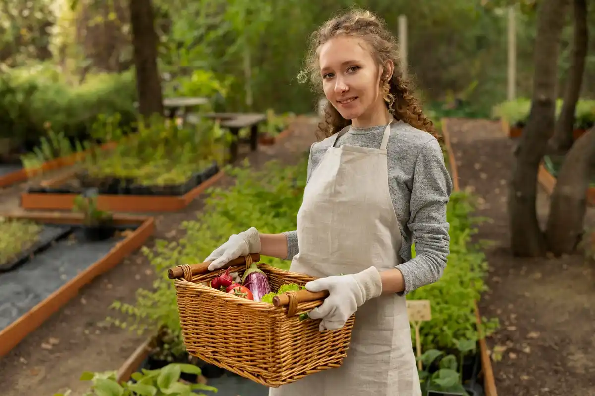 harvesting fresh vegetables from small balcony garden