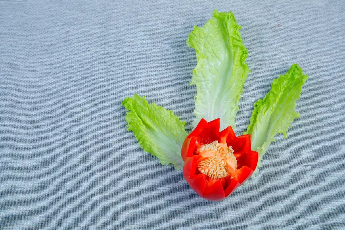 fresh lettuce close up in natural light