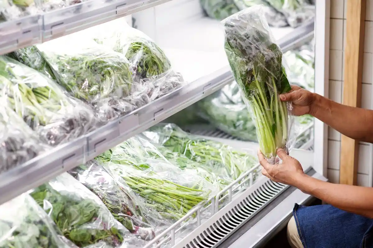 lettuce stored in fridge with paper towel