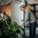 Easy houseplants for beginners in modern Dutch homes