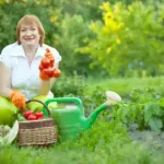 home vegetable garden Netherlands fresh organic vegetables