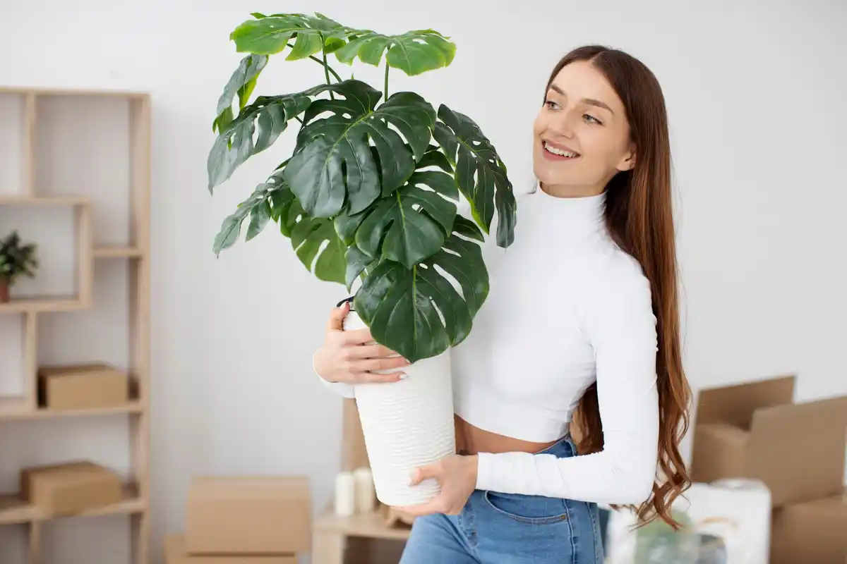 houseplant personality test colorful plants indoors