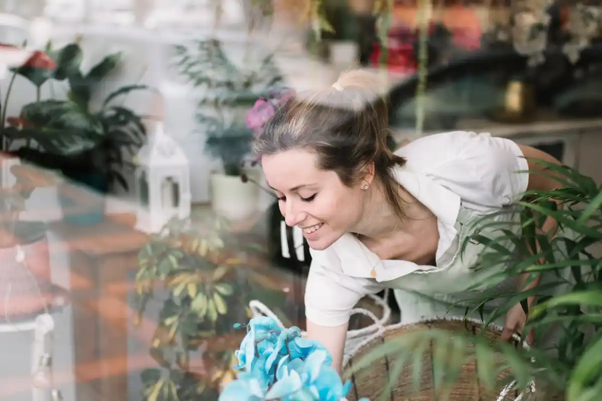 Dutch indoor happy houseplants natural light
