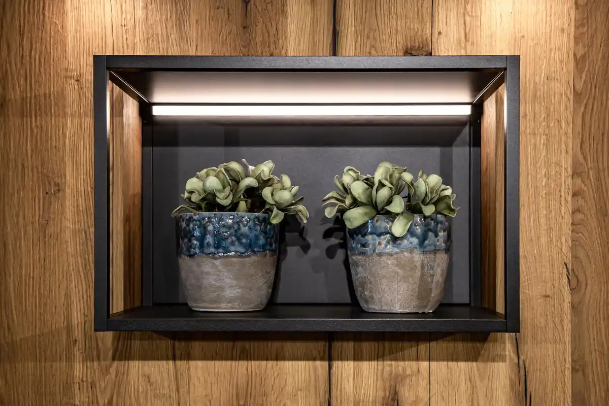 Living room corner with hanging plants and indoor lighting
