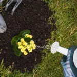 automatic garden irrigation system spring backyard