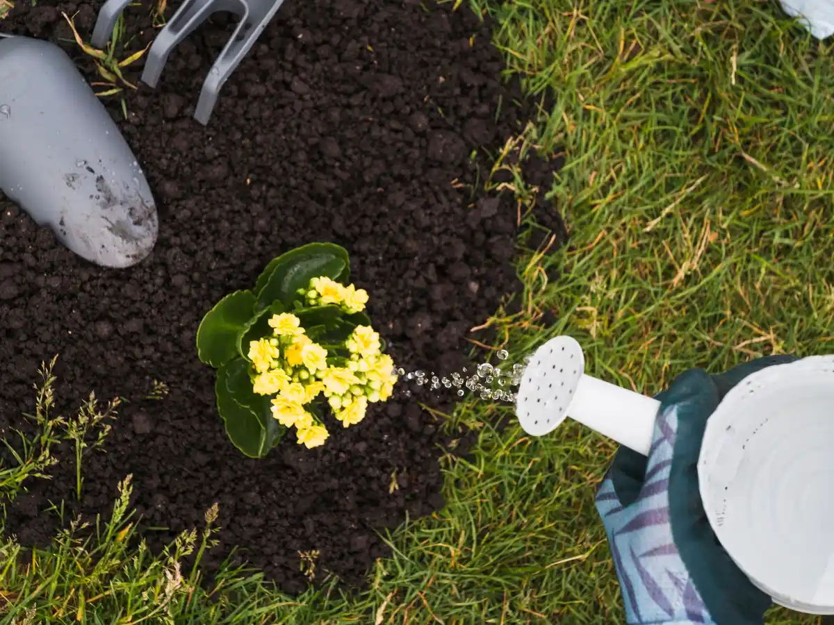 automatic garden irrigation system spring backyard