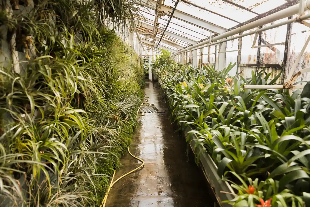 rain sensor irrigation system garden Netherlands