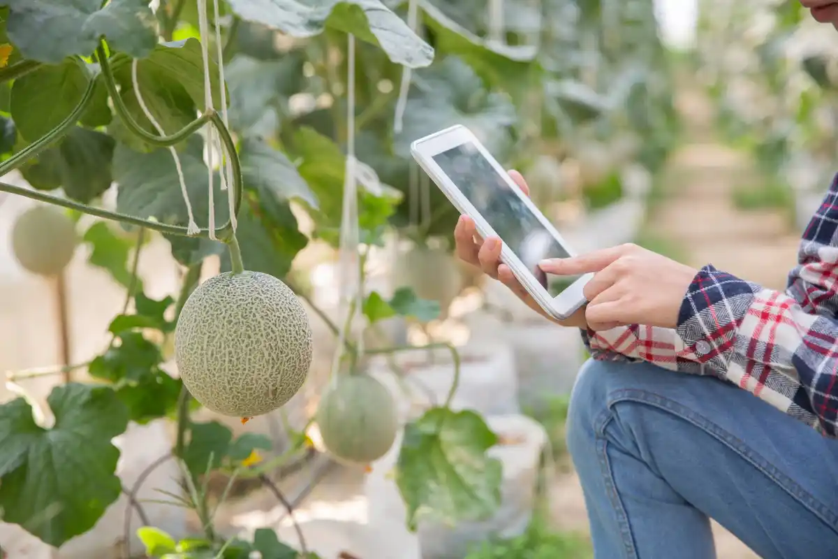 smart garden irrigation system with soil moisture sensors