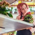 thriving balcony vegetable garden netherlands