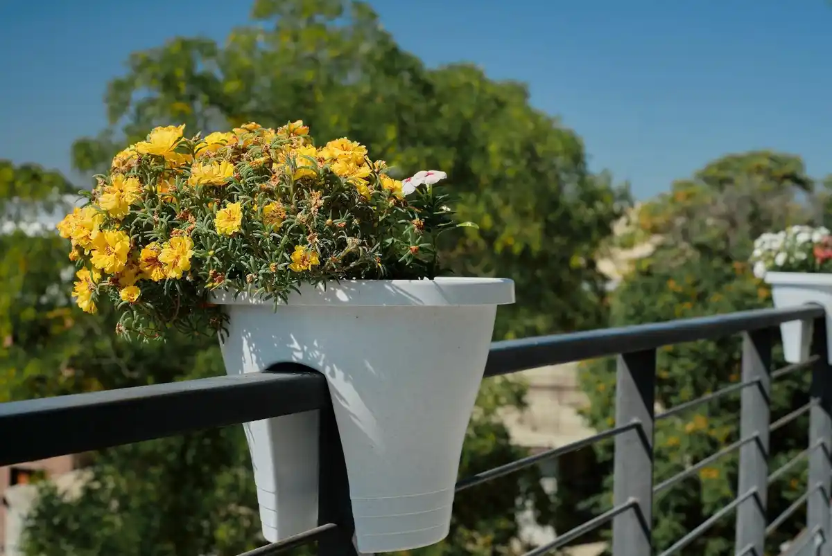 small balcony garden with mixed plants pots