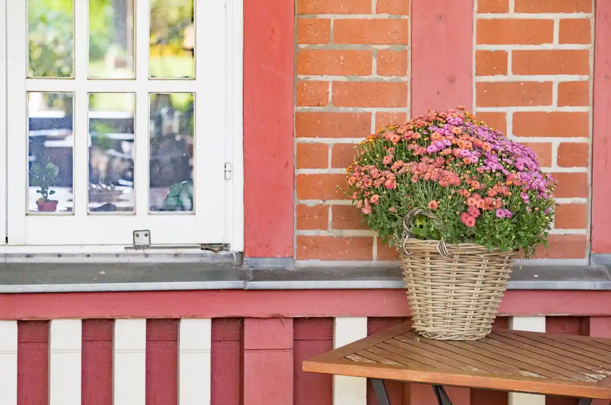 urban balcony vegetable garden Netherlands