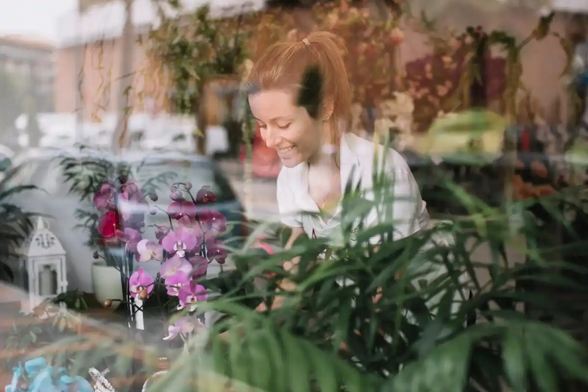 Dutch balcony plants watering care