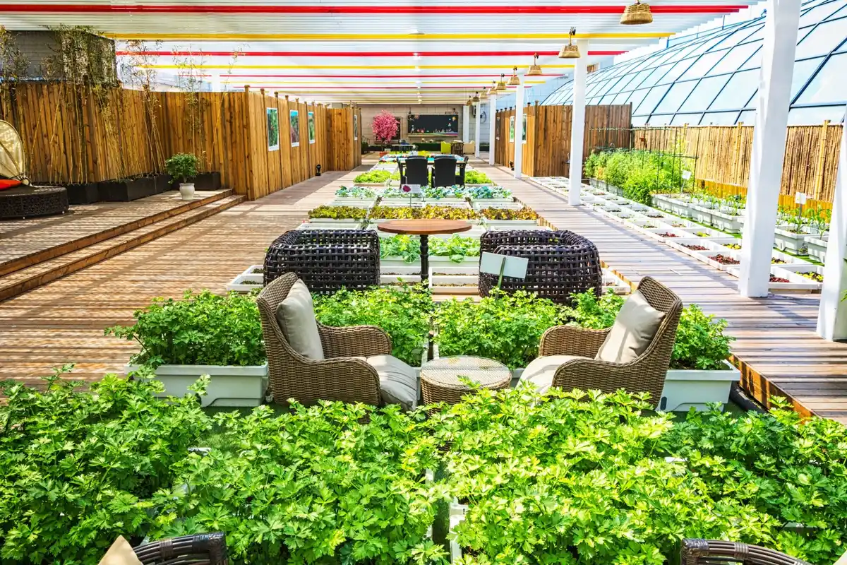 urban balcony vegetable garden netherlands