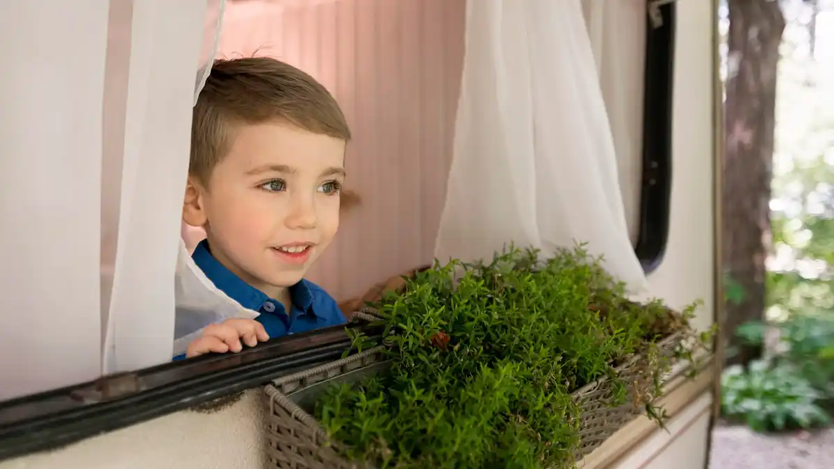 small vertical balcony garden netherlands