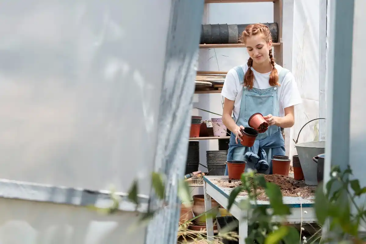 small urban balcony plants maintenance netherlands