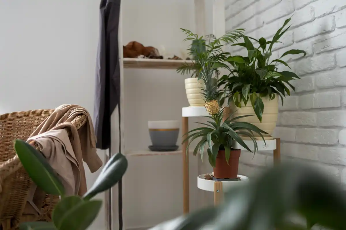 cozy living room with houseplants and fresh flowers