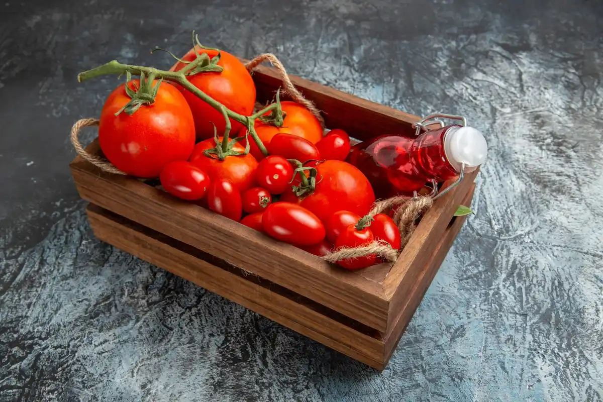 balcony container vegetable garden with tomatoes and peppers