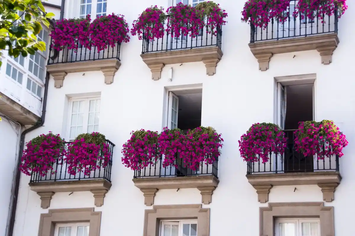 urban balcony container garden netherlands