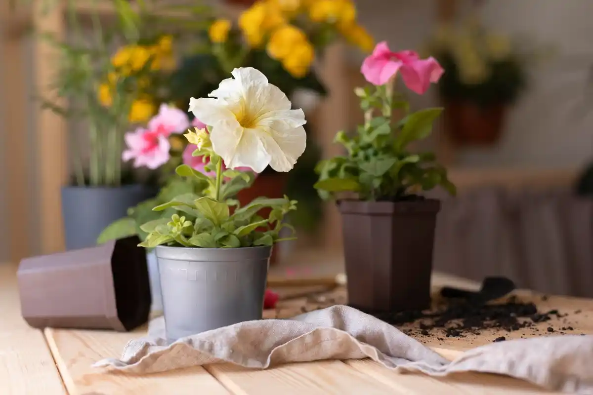 Wil je verse kruiden? Zo start je een mini-moestuin op je balkon!
