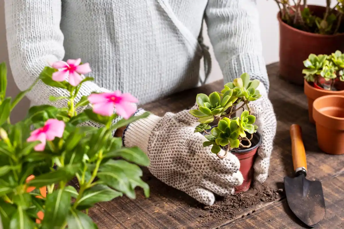 balcony gardening spring planting