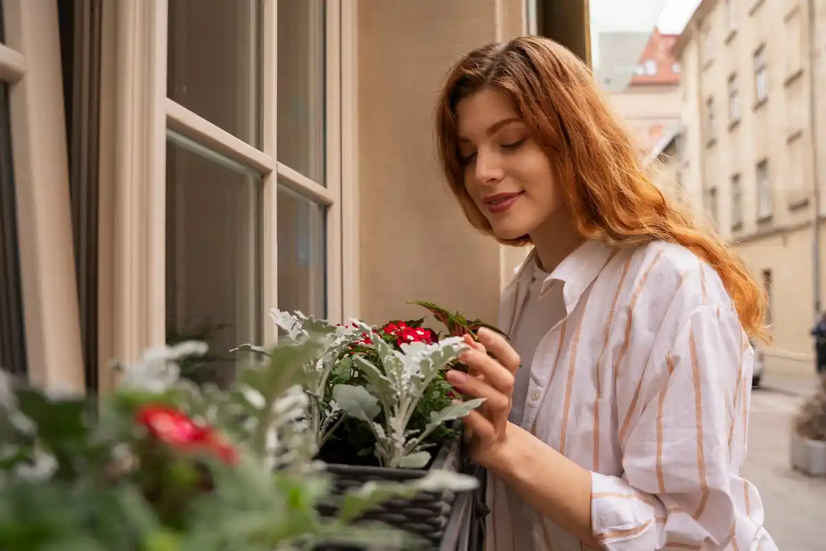 balcony plants summer heat watering