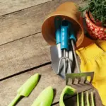 rusty garden tools cleaning maintenance