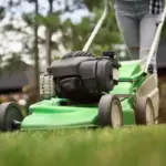 dutch garden lawn mower battery powered sunny backyard
