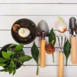essential gardening tools for home garden