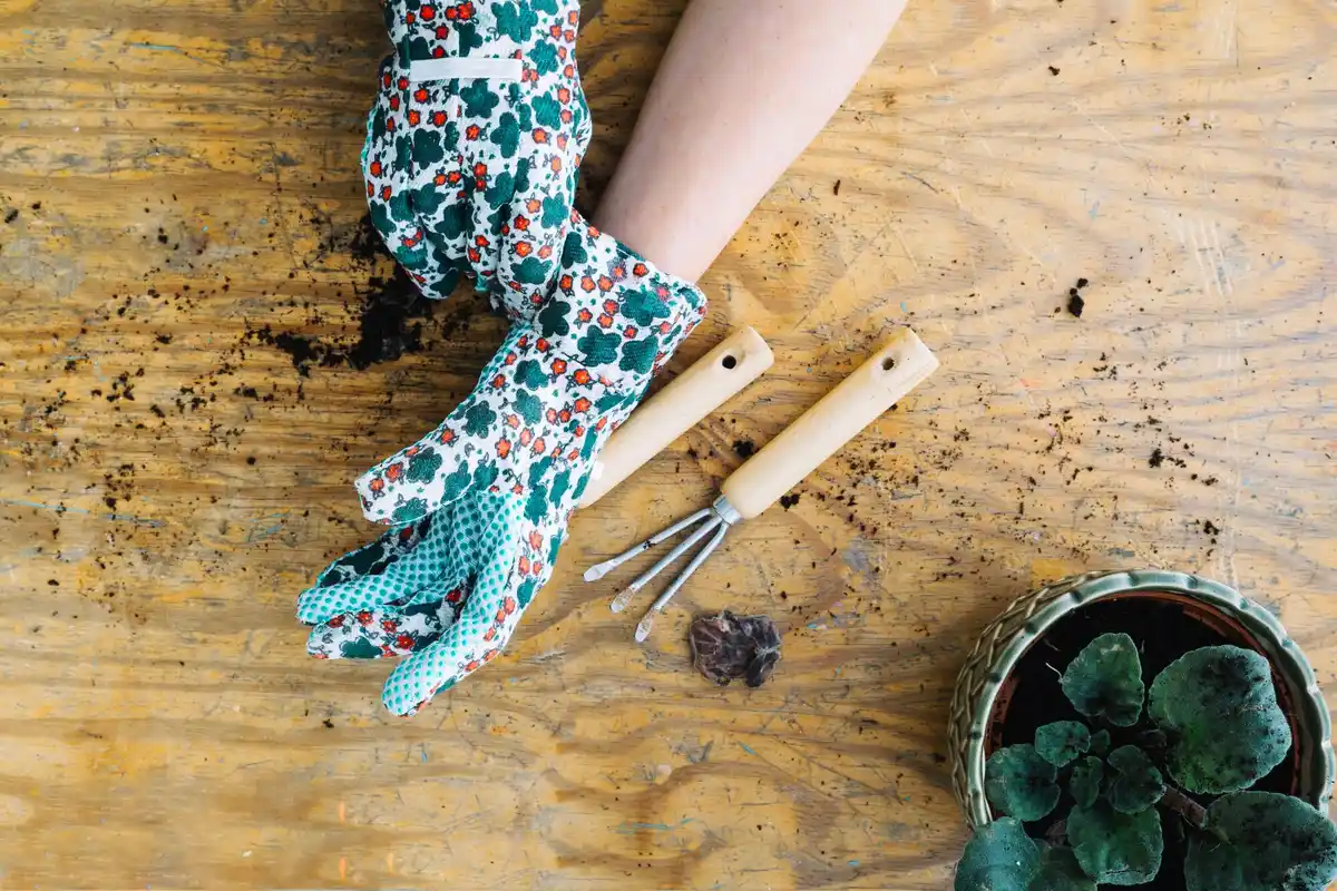 gardening hand shovel and fork in flower bed