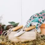 Dutch garden tools pruning and digging