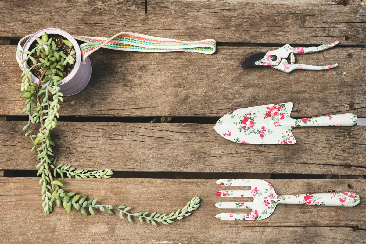 Dutch garden tools digging and pruning