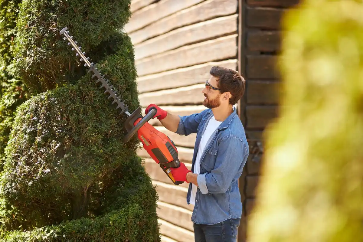 professional lawn mower in garden