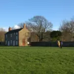 Dutch garden lawn healthy grass mower sunny day