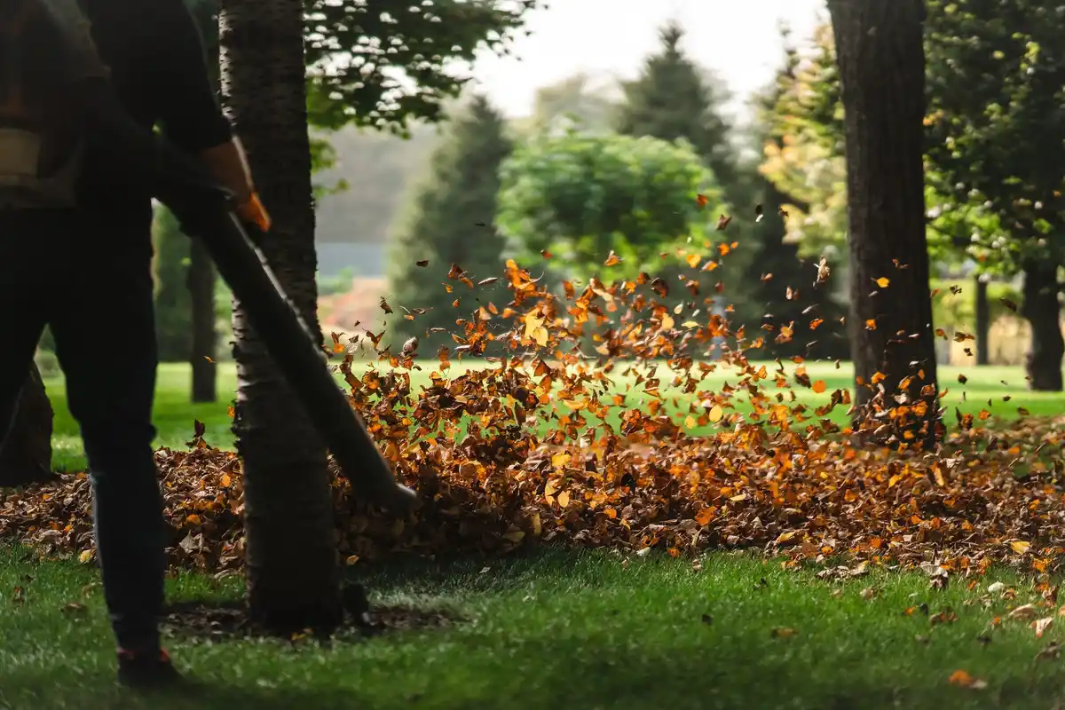 lawn mowing spring Netherlands backyard