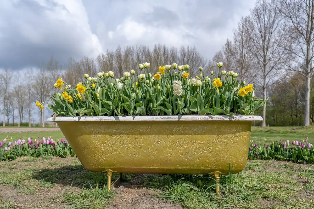 dutch garden watering can summer lawn