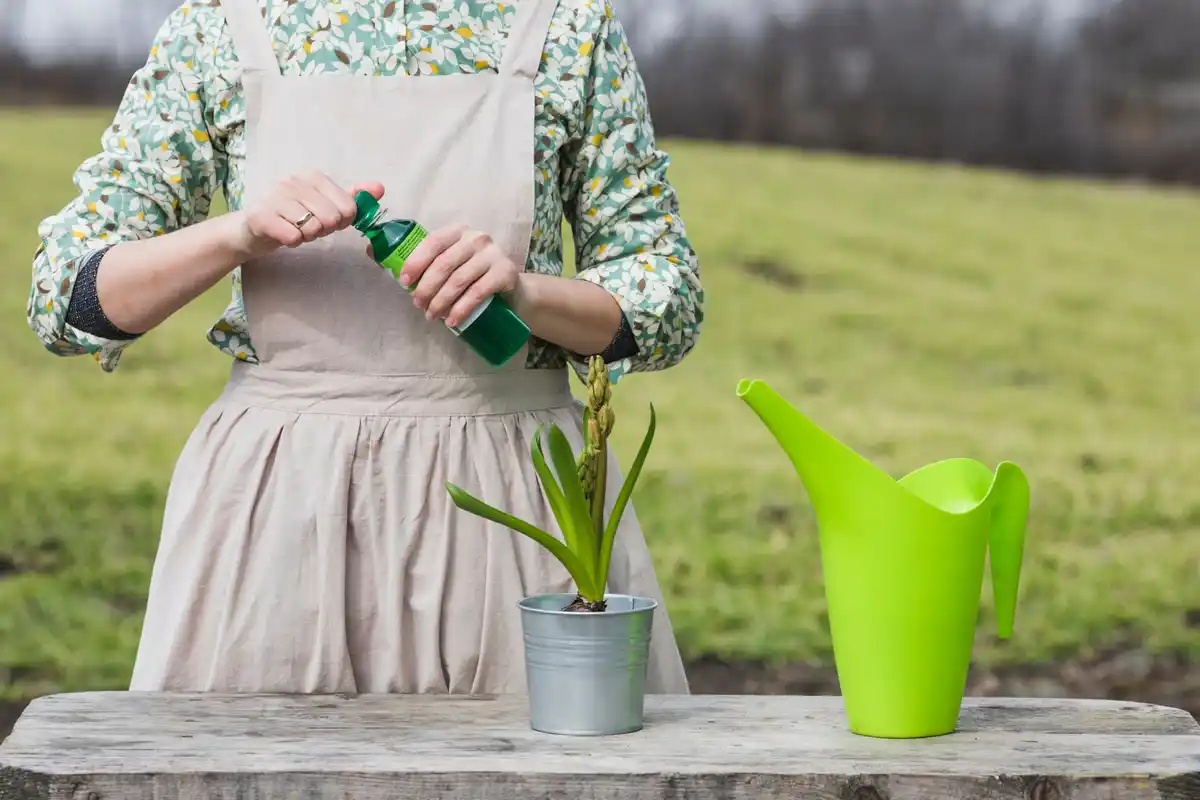 applying liquid fertilizer lawn care Netherlands