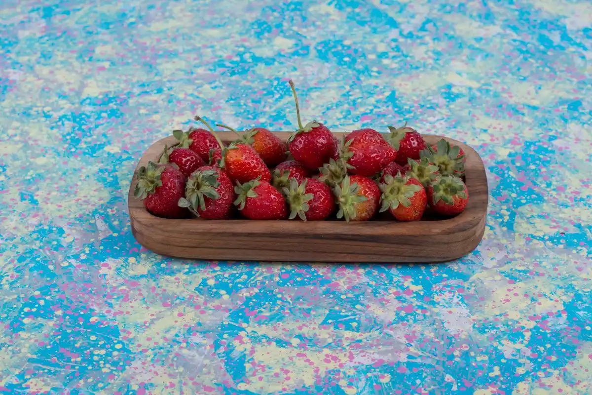 gray mold botrytis on strawberry fruit in garden