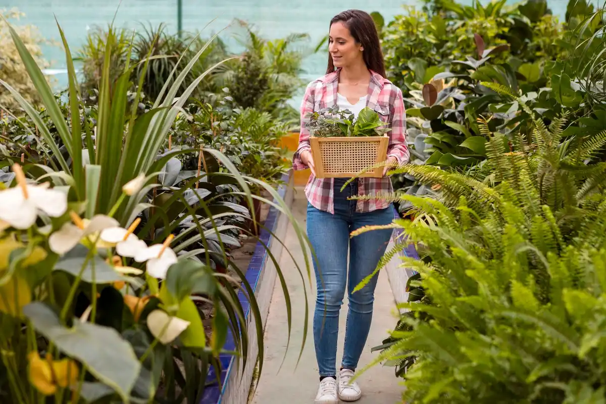 healthy urban garden pest-free plants