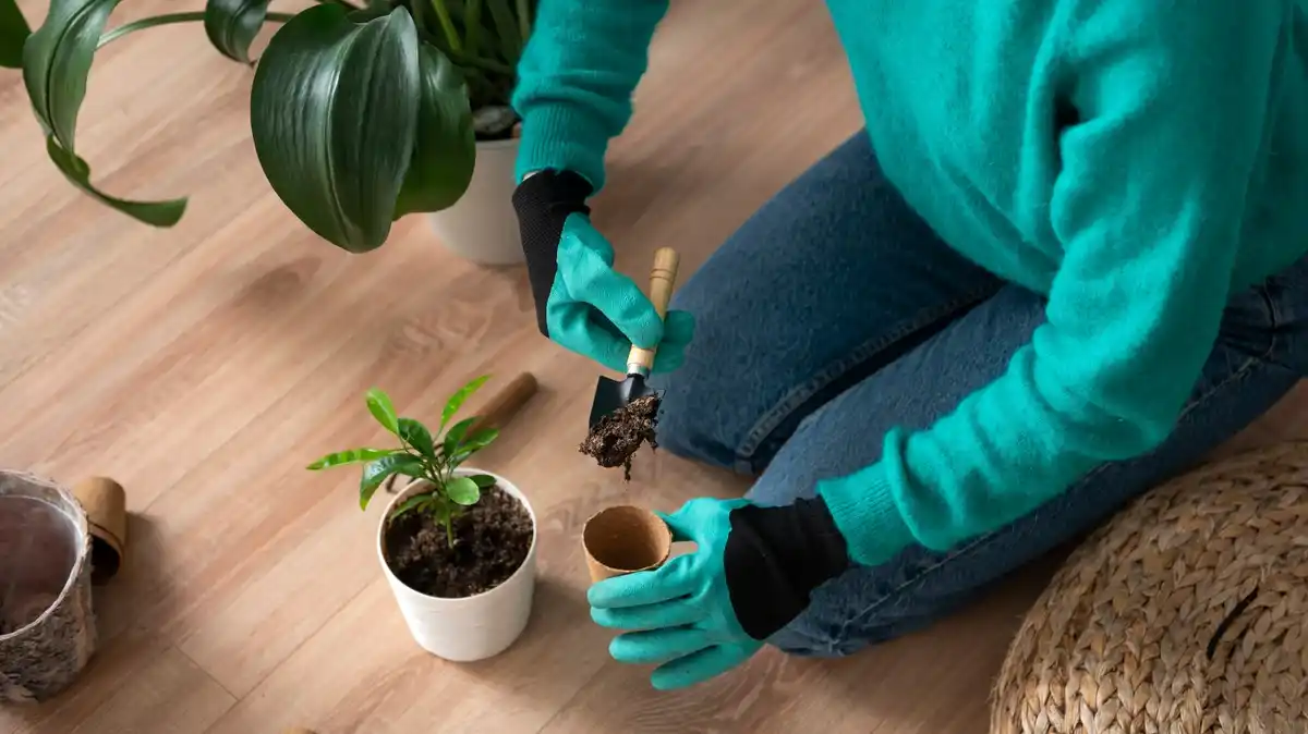 plant watering mistakes soil moisture