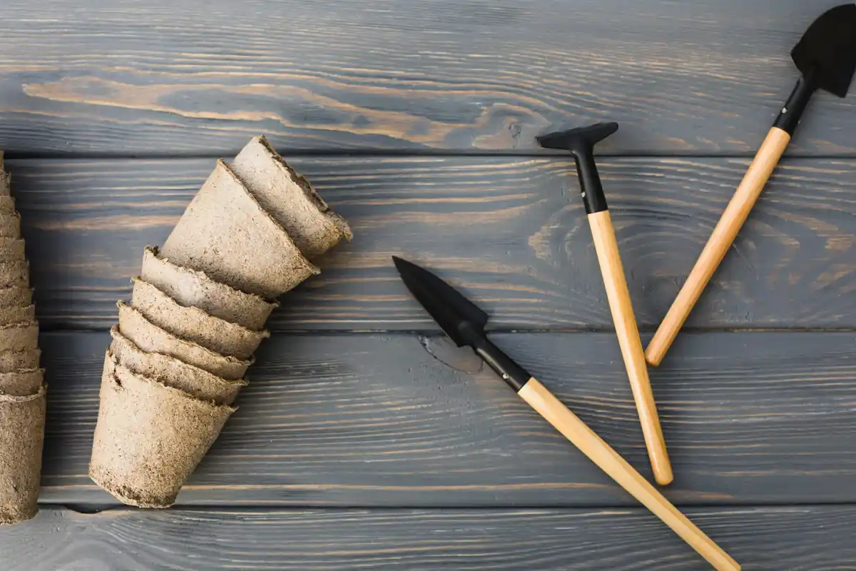 rusty old gardening tools vs modern ergonomic tools
