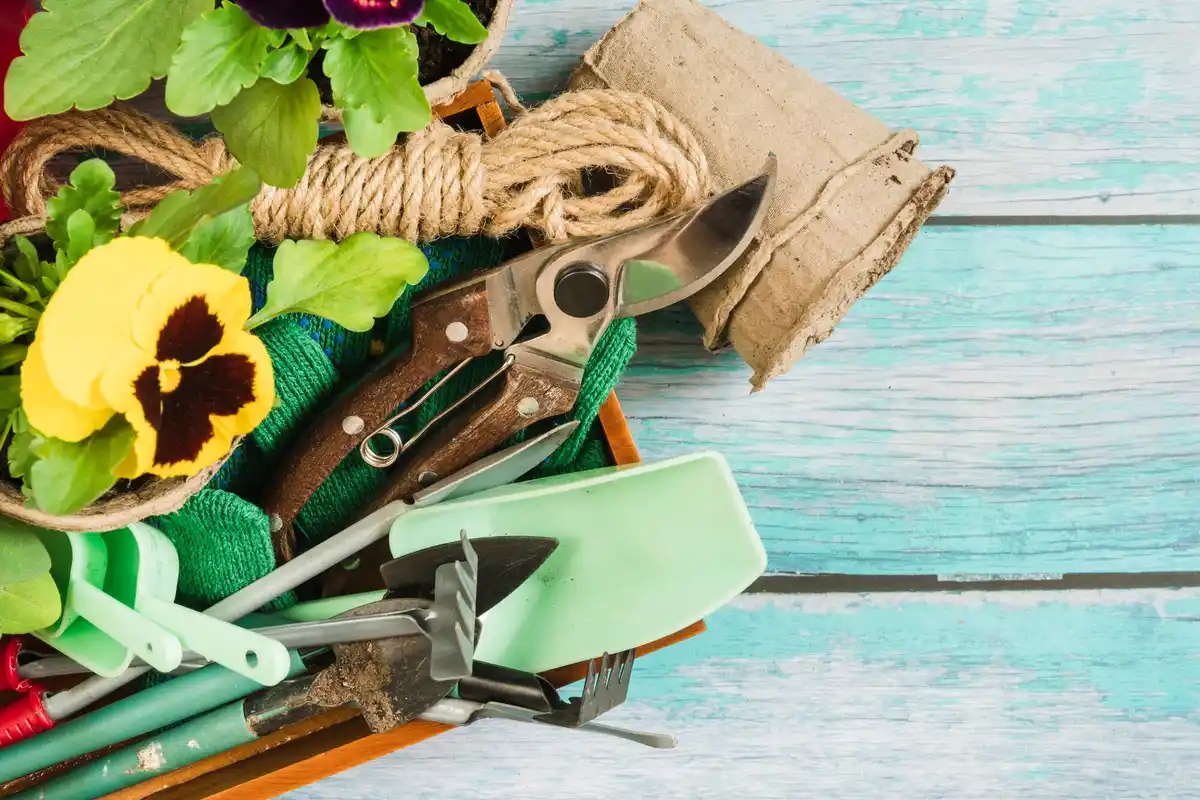 quality garden tools Dutch market