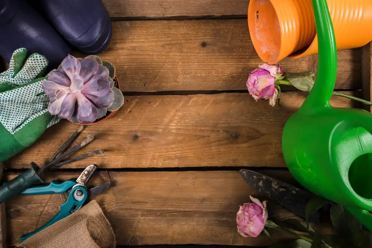 essential gardening tools Netherlands backyard garden