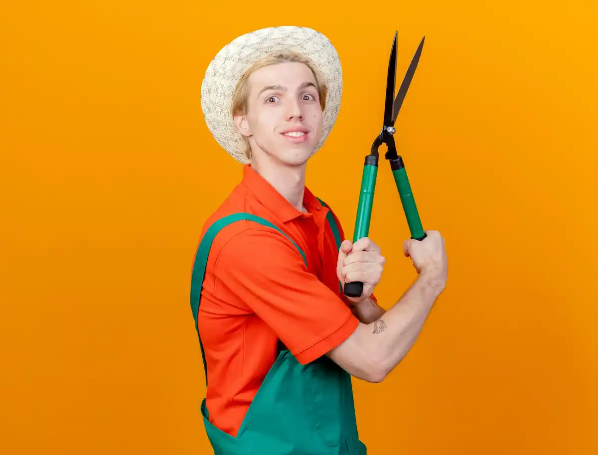 Dutch gardener using pruning shears