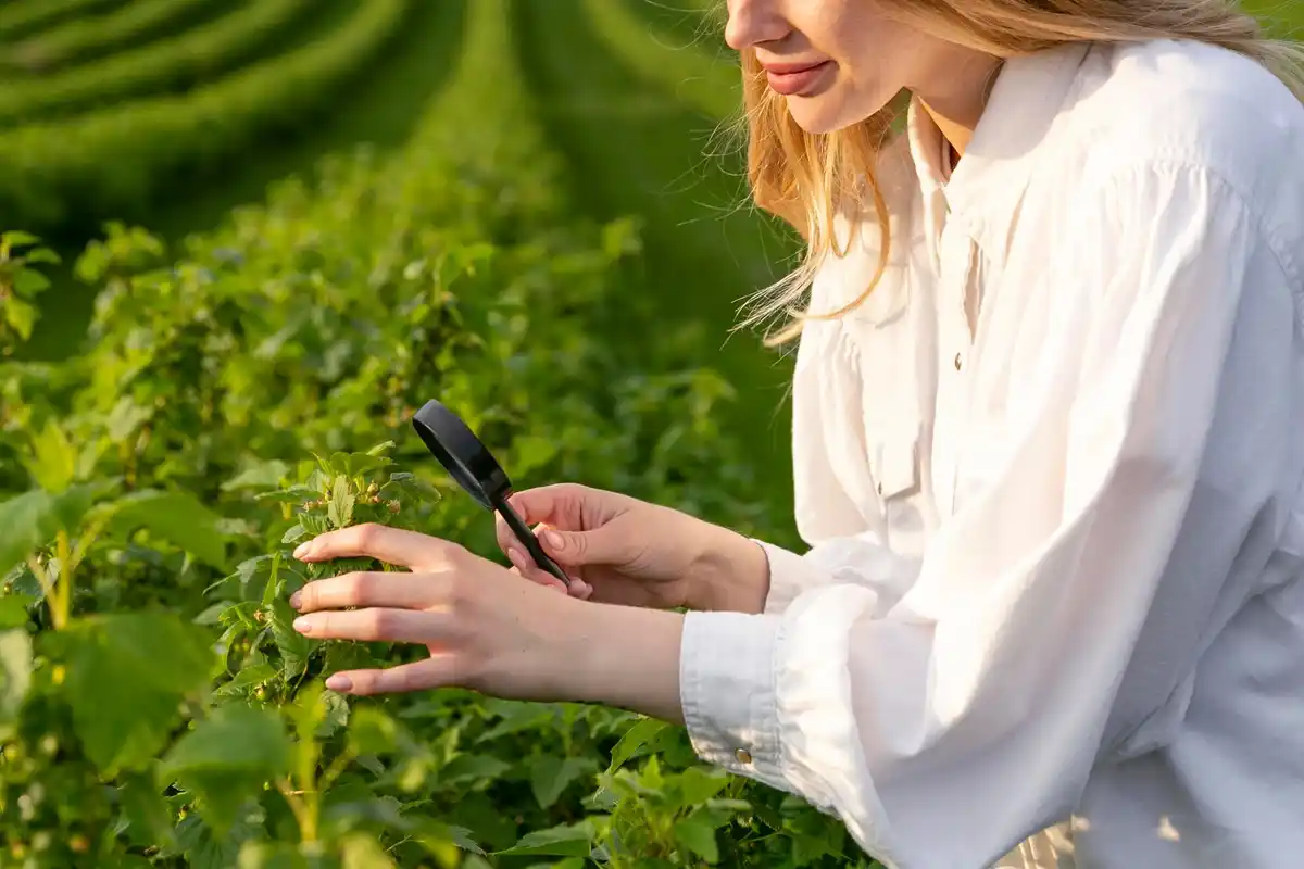 smart garden irrigation system app