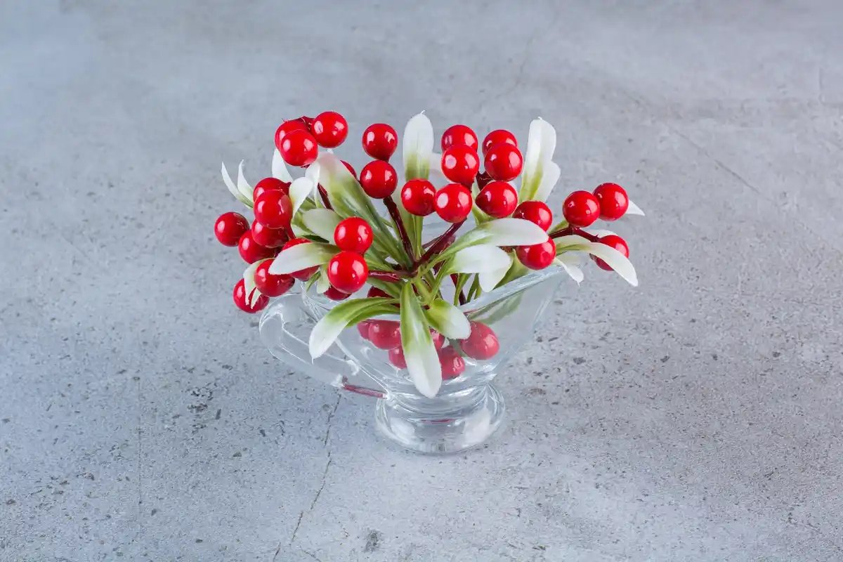 dutch garden fruit bushes red currant raspberry gooseberry