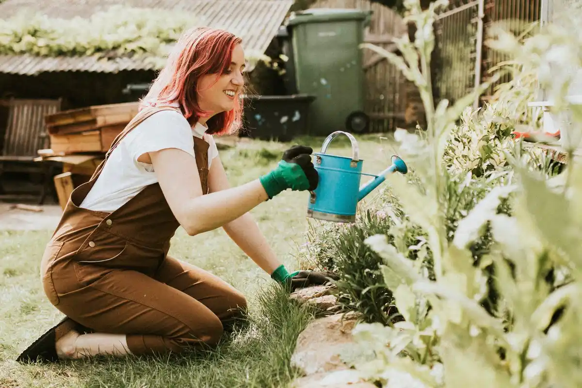 fresh summer garden lawn mulch watering plants