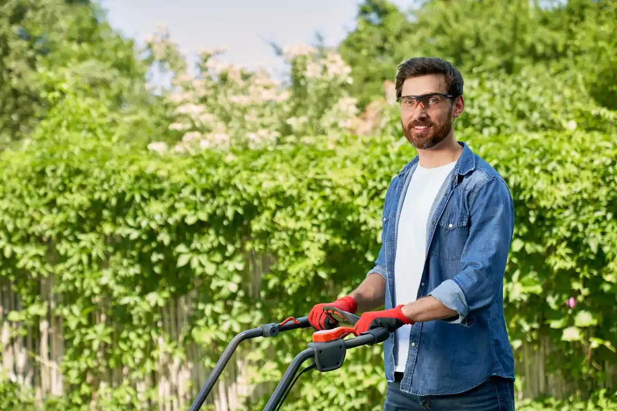 lawn mowing expert tips Netherlands garden