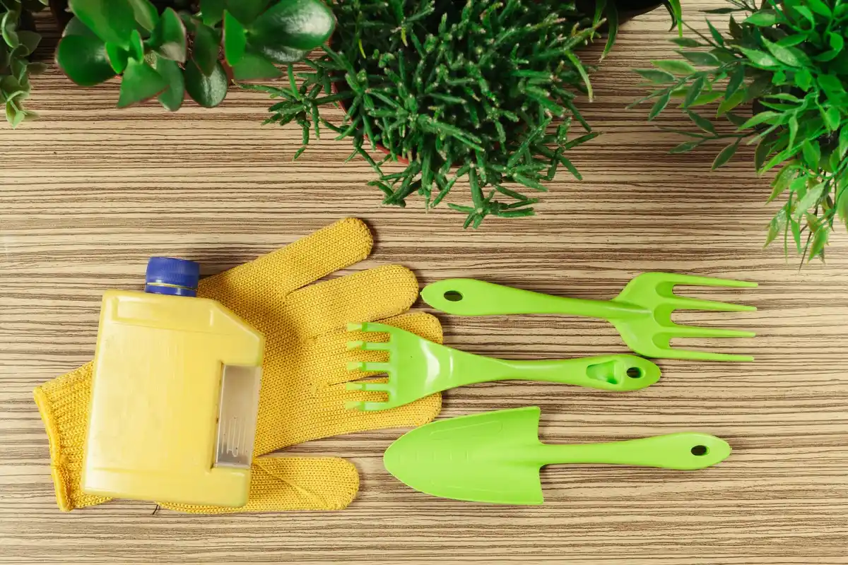 lawn mowing tips flat lay