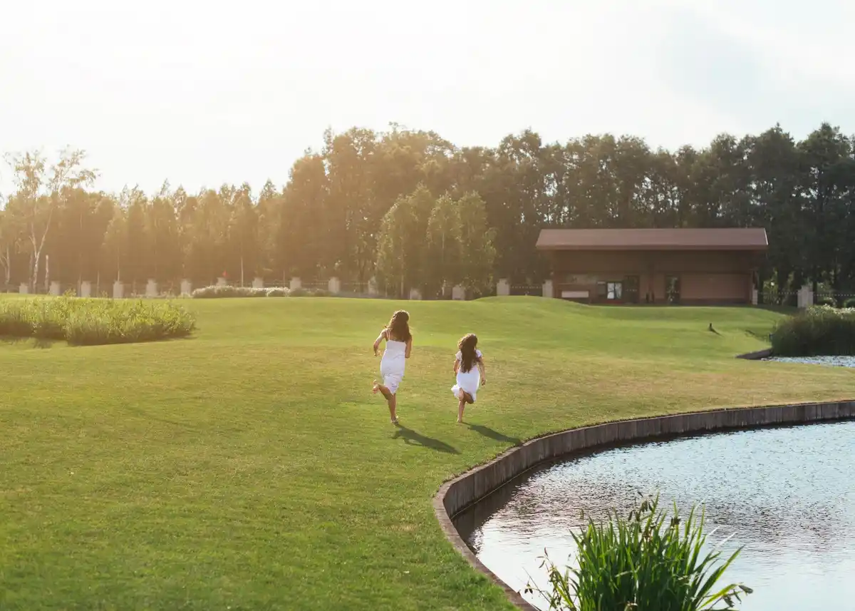 healthy green lawn maintenance netherlands