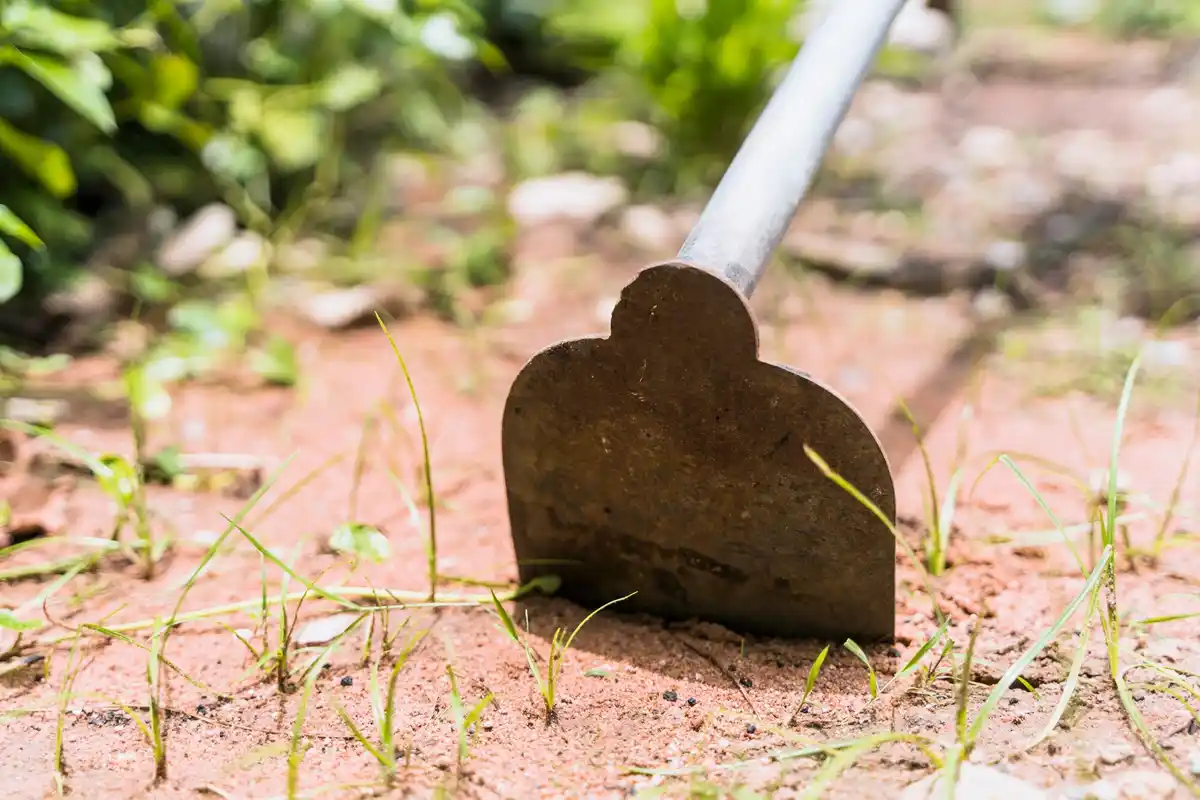 garden rake preparing soil spring